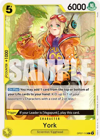 York (OP07-110)